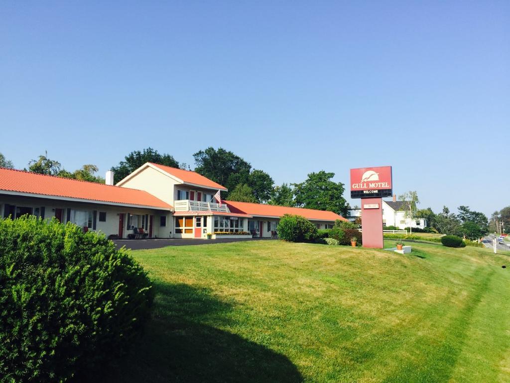 The Gull Motel, Белфаст Экстерьер фото